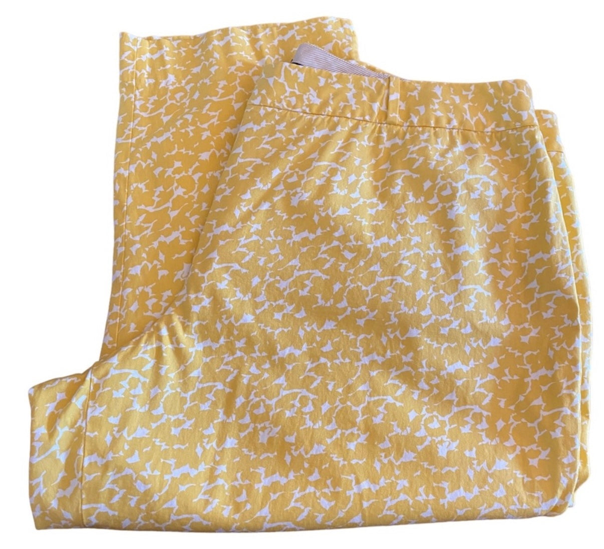 Talbots Summer Pants Size 22WP